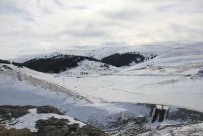 Çambaşı Yaylası